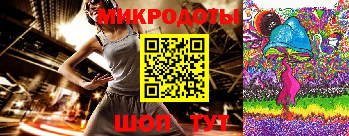 Псилоцибиновые грибы Cubensis Торжок